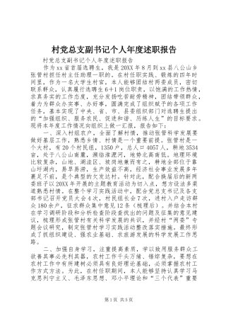 2024年村党总支副书记个人年度述职报告