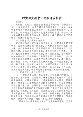 2024年村党总支副书记述职评议报告