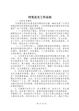2024年村党总支工作总结