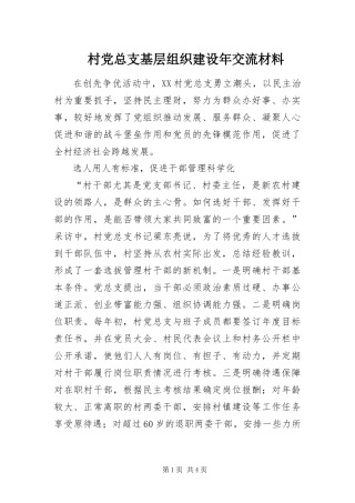 2024年村党总支基层组织建设年交流材料