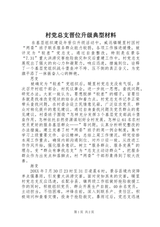 2024年村党总支晋位升级典型材料