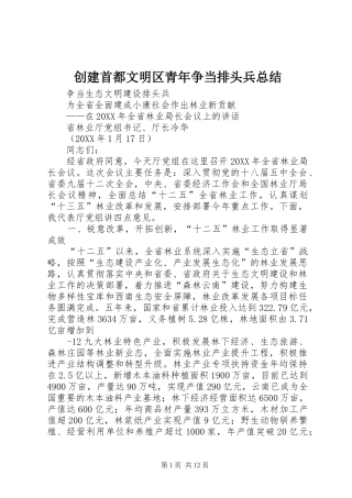 2024年创建首都文明区青年争当排头兵总结