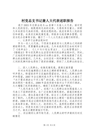 2024年村党总支书记兼人大代表述职报告