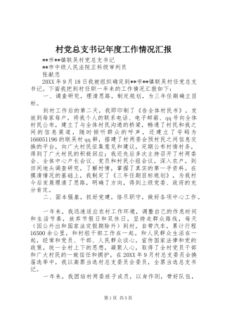 2024年村党总支书记年度工作情况汇报