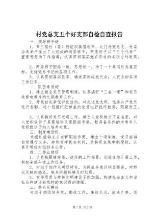 2024年村党总支五个好支部自检自查报告