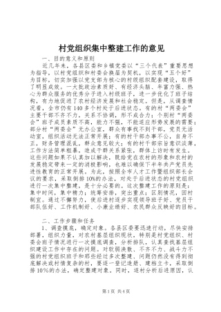 2024年村党组织集中整建工作的意见