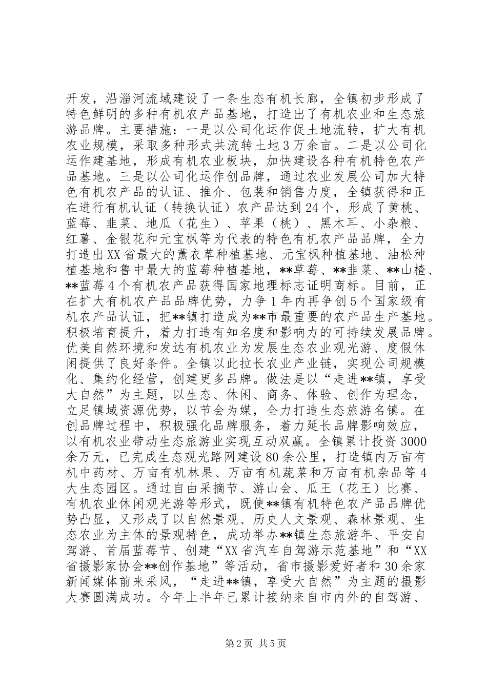 2024年创建特色品牌乡镇工作调研_第2页