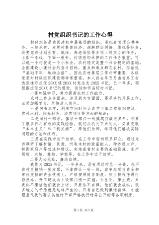 2024年村党组织书记的工作心得
