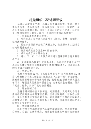 2024年村党组织书记述职评议