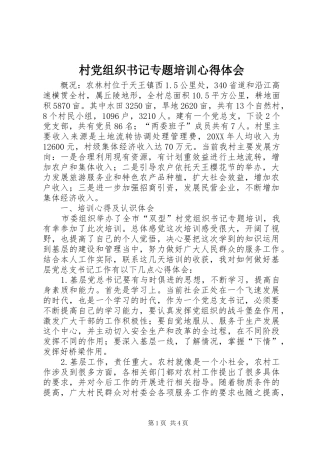 2024年村党组织书记专题培训心得体会
