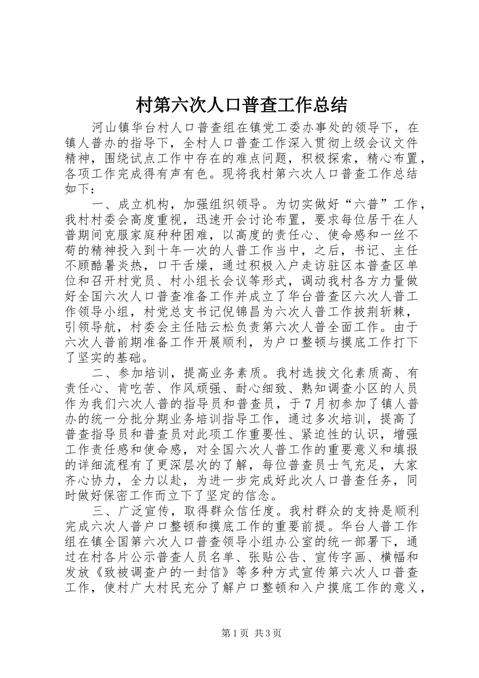 2024年村第六次人口普查工作总结_第1页