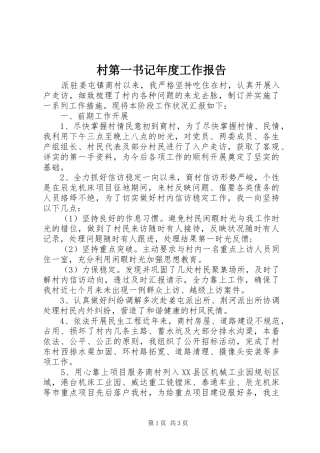 2024年村第一书记年度工作报告