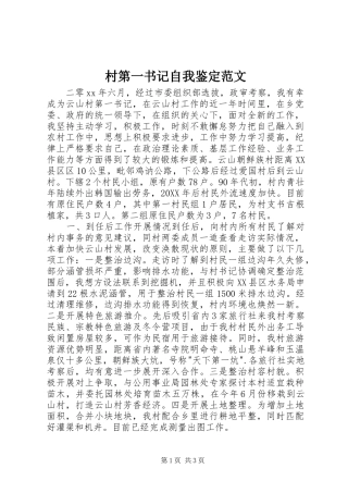 2024年村第一书记自我鉴定范文