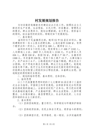 2024年村发展规划报告