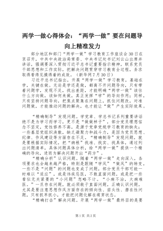 2024年两学一做心得体会两学一做要在问题导向上精准发力