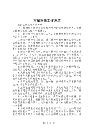 2024年村副主任工作总结