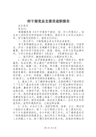 2024年村干部党总支委员述职报告