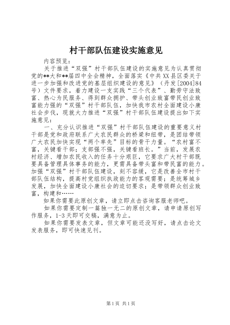 2024年村干部队伍建设实施意见_第1页