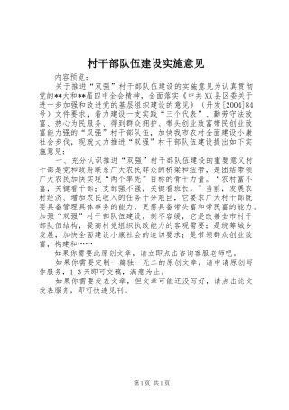 2024年村干部队伍建设实施意见