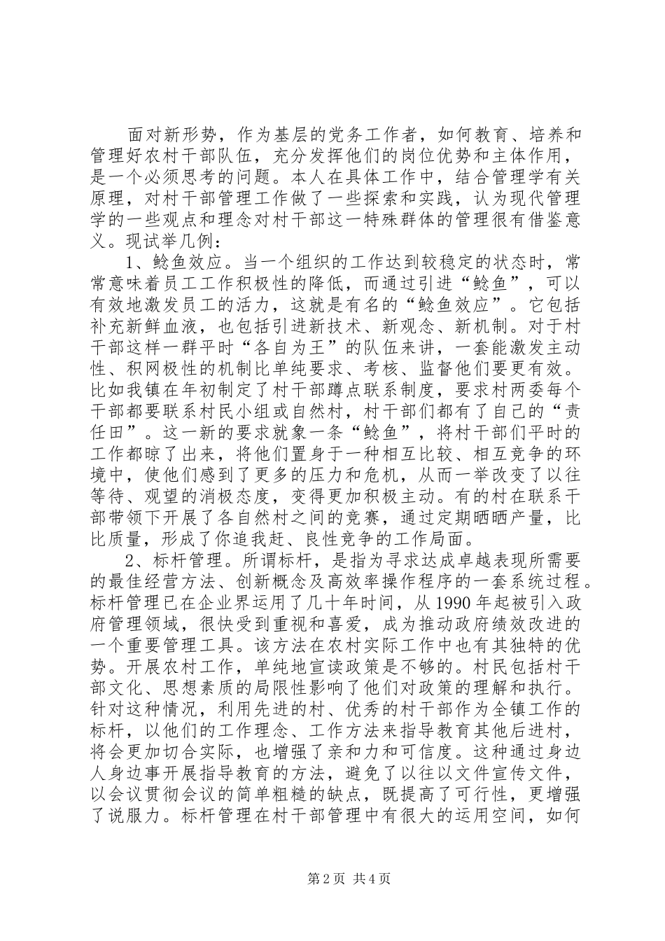 2024年村干部工作探索和实践_第2页