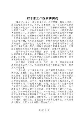 2024年村干部工作探索和实践