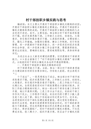 2024年村干部挂职乡镇实践与思考