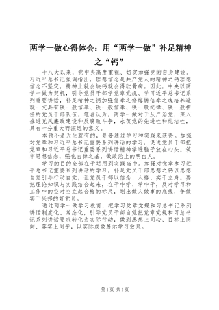 2024年两学一做心得体会用两学一做补足精神之钙