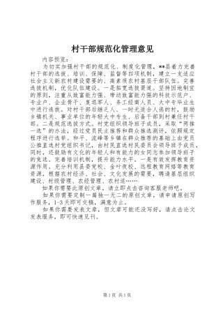 2024年村干部规范化管理意见