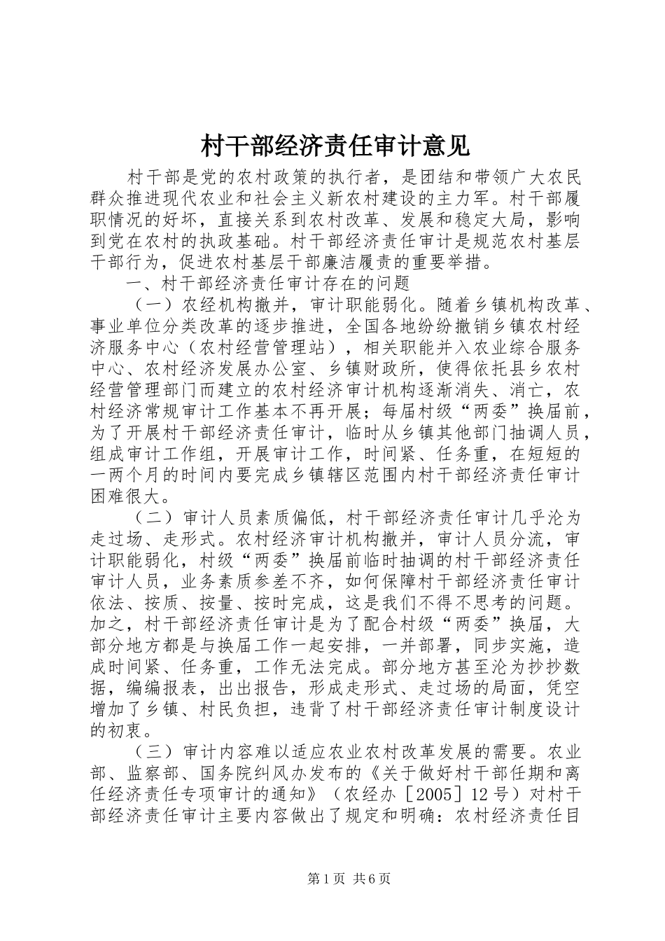 2024年村干部经济责任审计意见_第1页