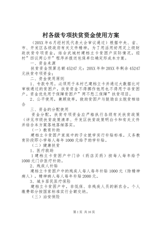 2024年村各级专项扶贫资金使用方案