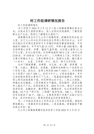 2024年村工作组调研情况报告