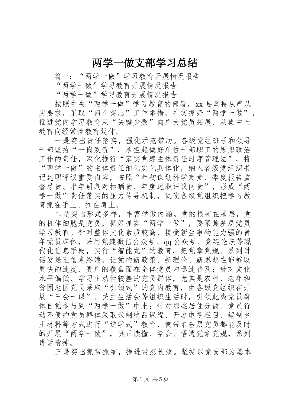 2024年两学一做支部学习总结_第1页