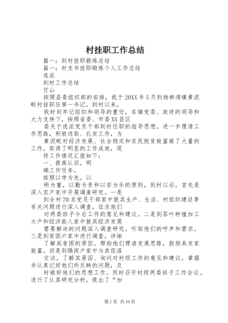 2024年村挂职工作总结