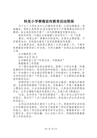 2024年料里小学禁毒宣传教育活动简报