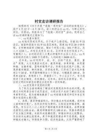 2024年村官走访调研报告