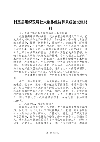 2024年村基层组织发展壮大集体经济积累经验交流材料