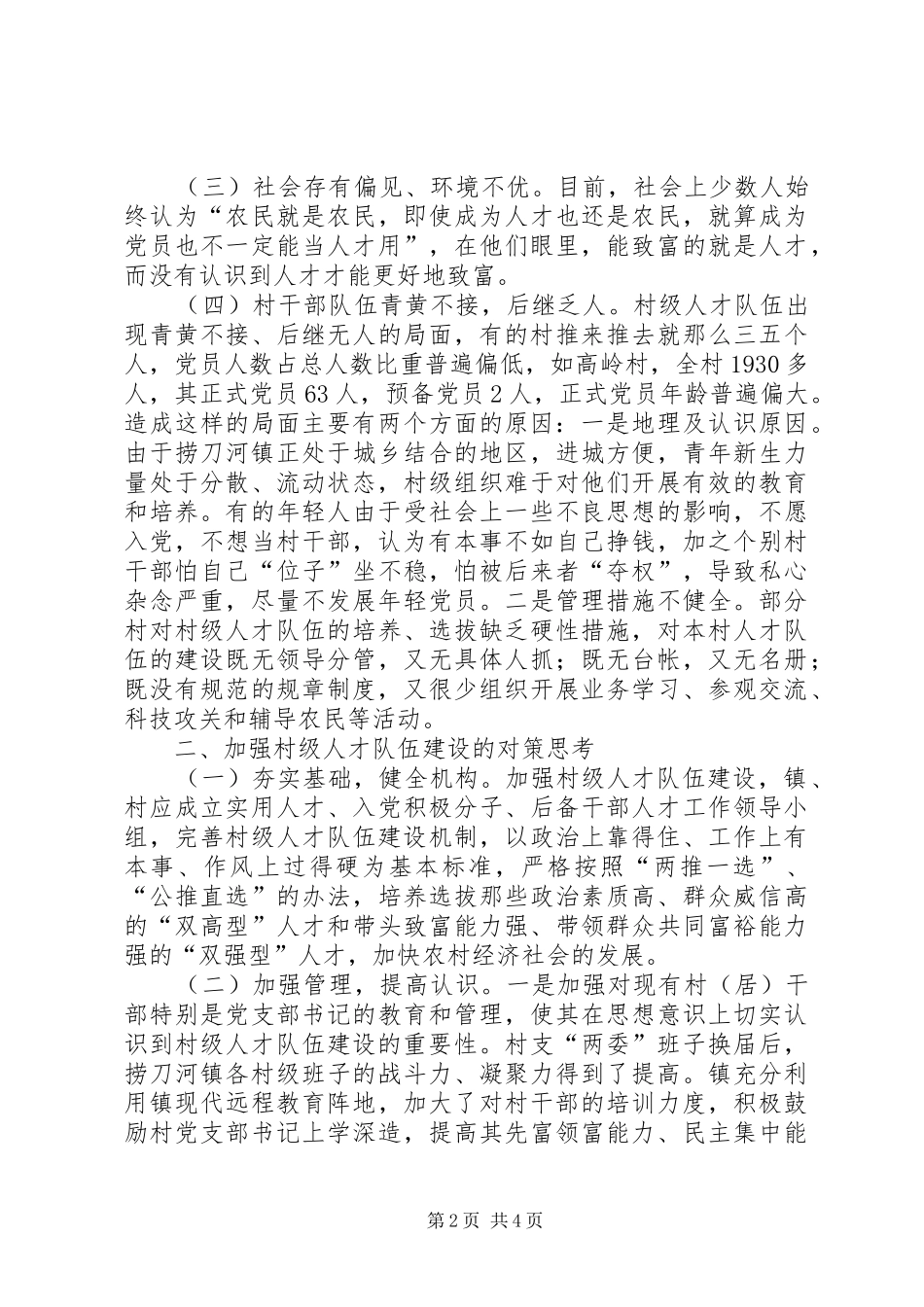 2024年村级人才队伍建设思考_第2页