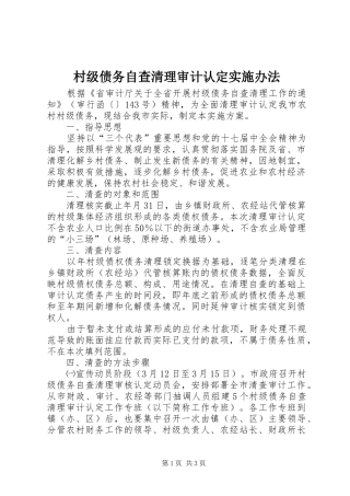 2024年村级债务自查清理审计认定实施办法
