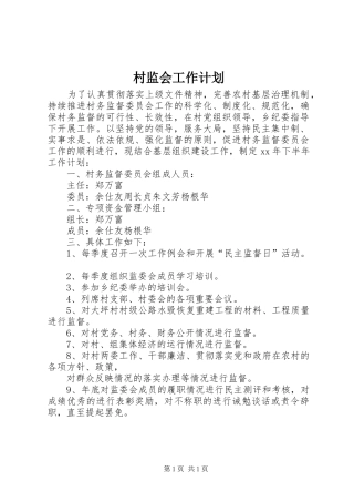2024年村监会工作计划