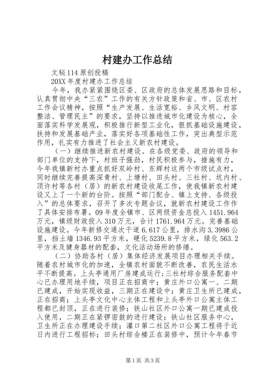 2024年村建办工作总结_第1页