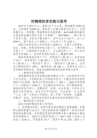 2024年村精准扶贫实践与思考