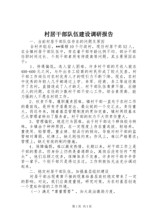 2024年村居干部队伍建设调研报告