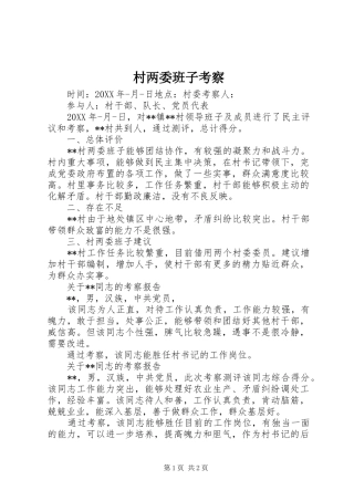 2024年村两委班子考察