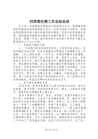 2024年村两委任期工作总结总结