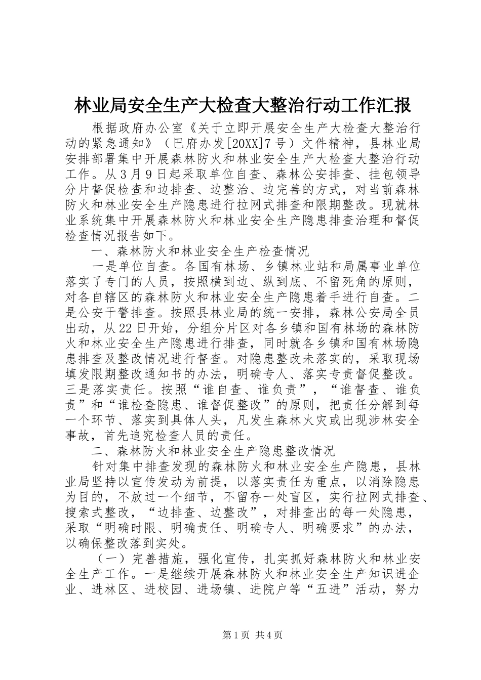 2024年林业局安全生产大检查大整治行动工作汇报_第1页