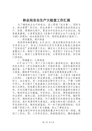 2024年林业局安全生产大检查工作汇报