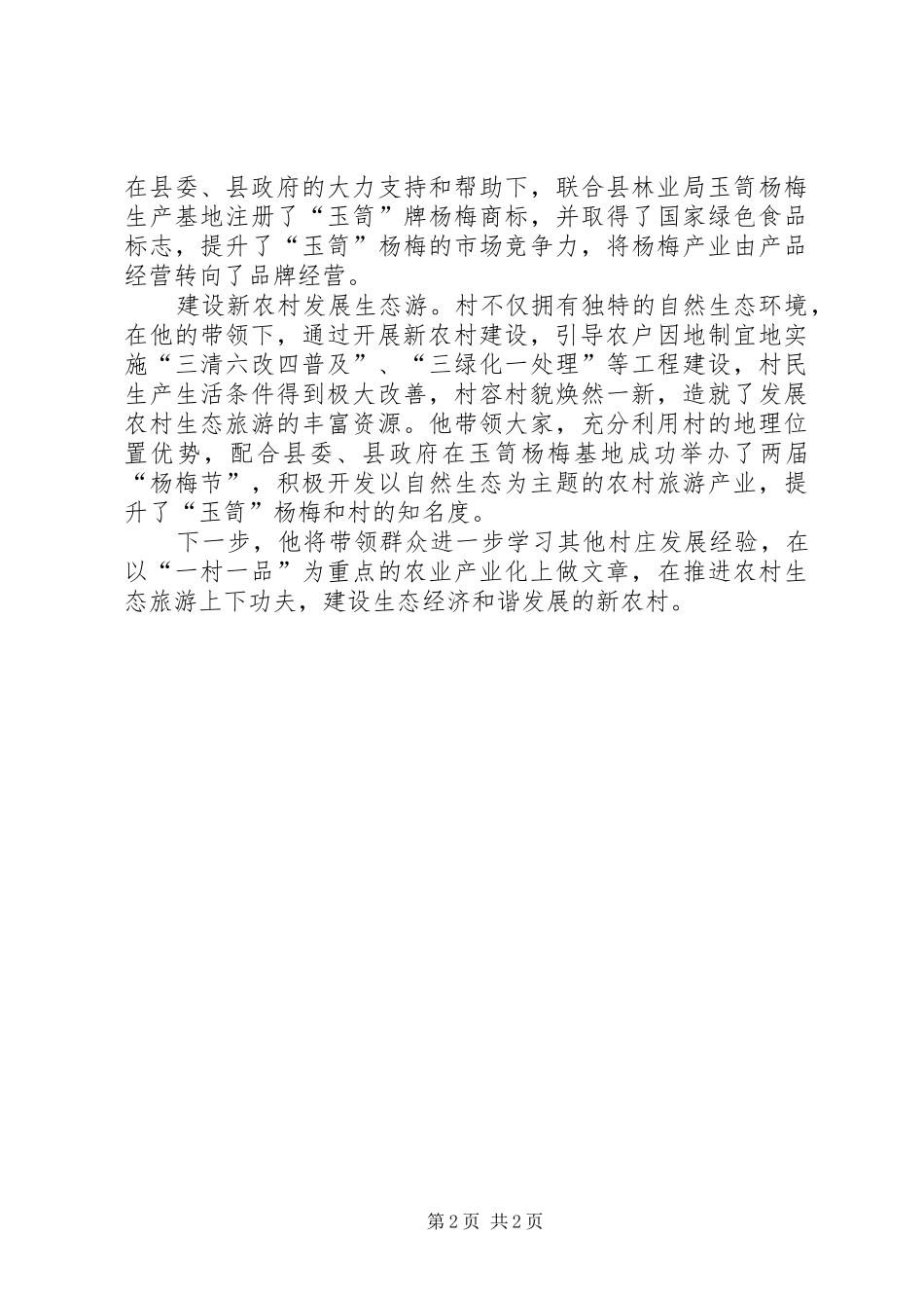 2024年村民小组长个人事迹材料_第2页