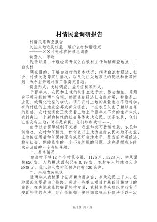 2024年村情民意调研报告