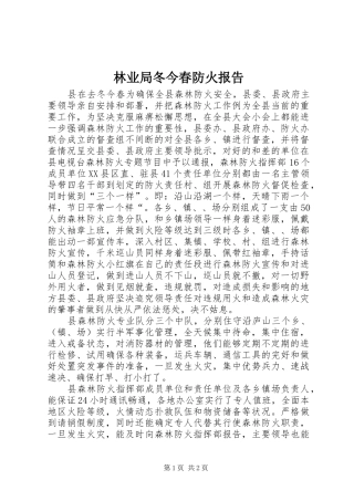 2024年林业局冬今春防火报告