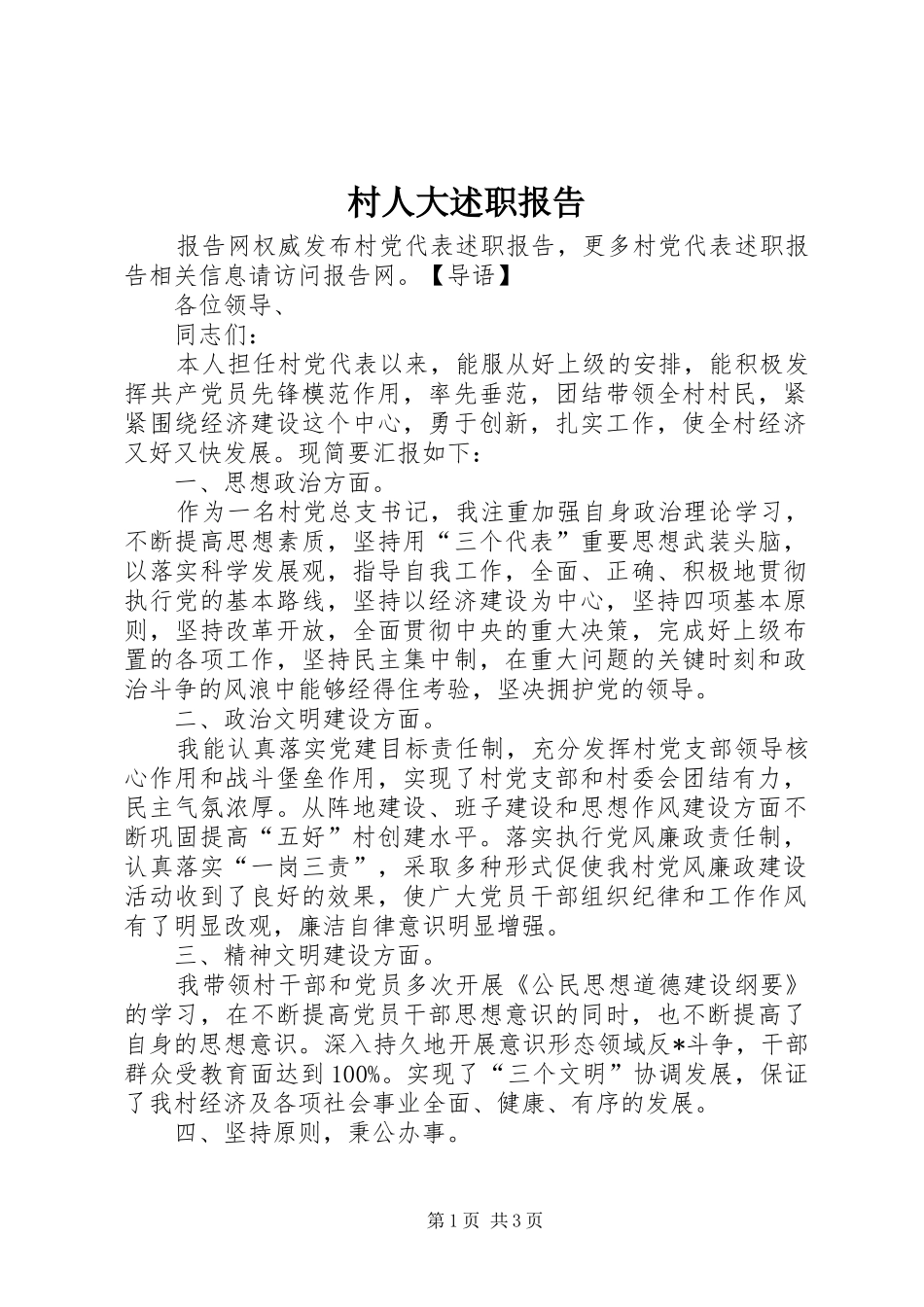 2024年村人大述职报告_第1页